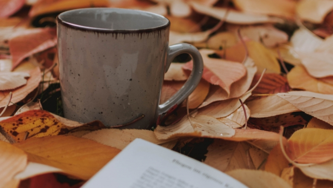 rudens lapās krūzīte un kladīte