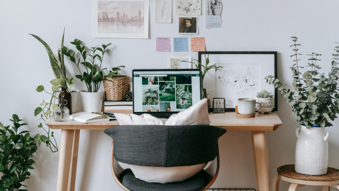 darbagalds ar datoru, augiem 